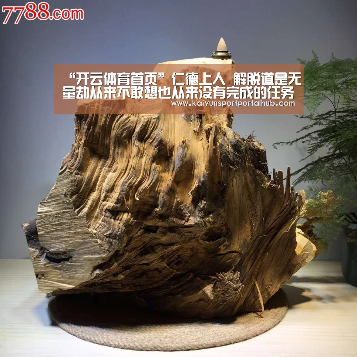 KAIYUN官网