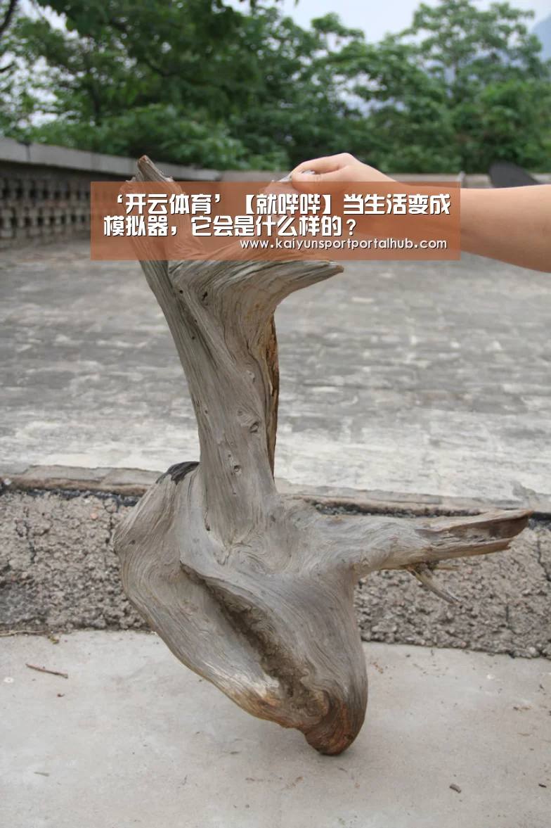 ‘开云体育’【就哔哔】当生活变成模拟器,它会是什么样的?(图1) 开云体育首页