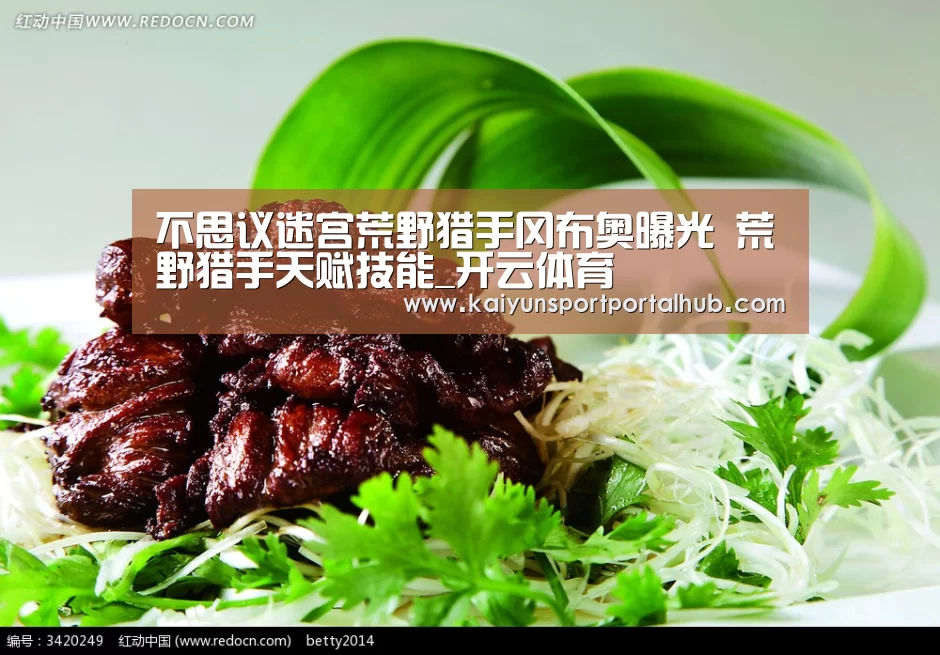 KAIYUN官网