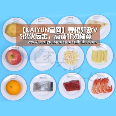 开云入口