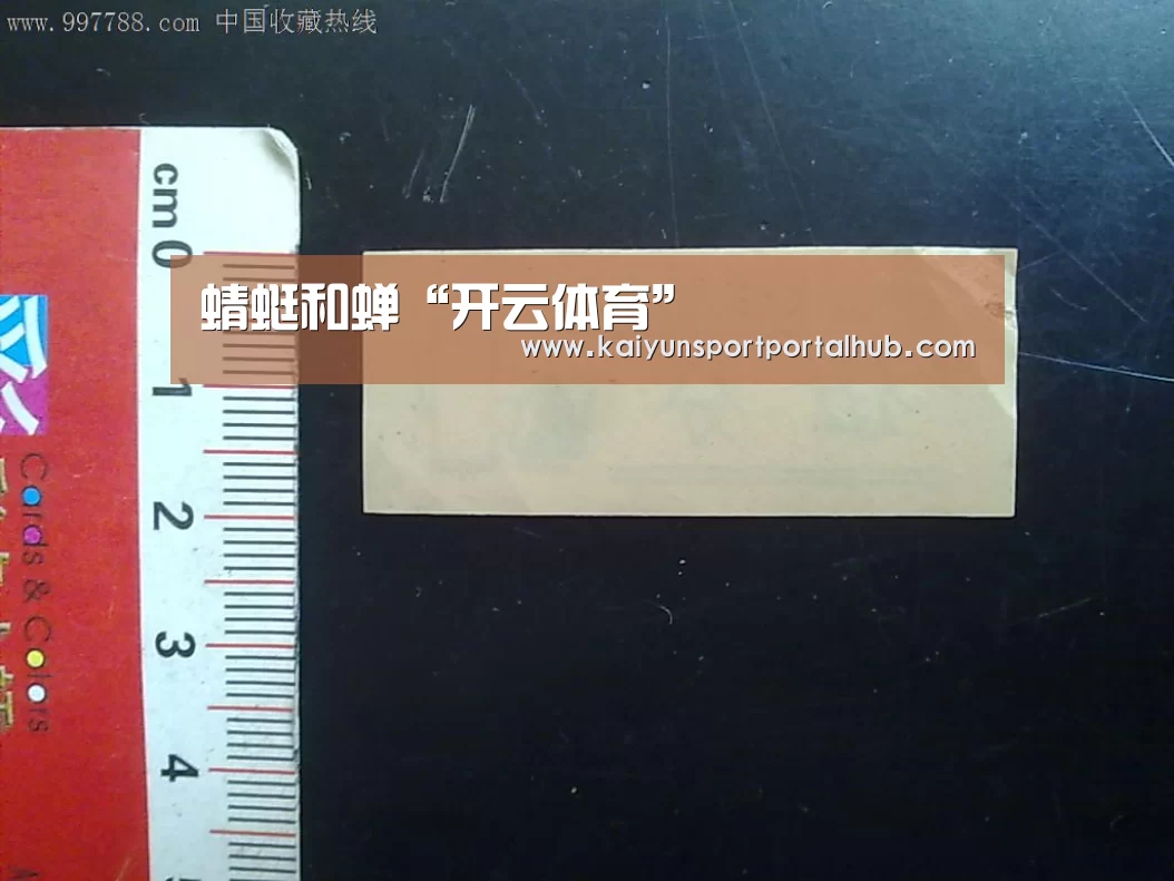 蜻蜓和蝉“开云体育”(图3) 开云入口