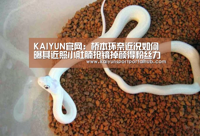 KAIYUN官网:桥本环奈近况如何 曝其近照小肚腩抢镜掉颜得粉丝力挺(图4) 开云体育